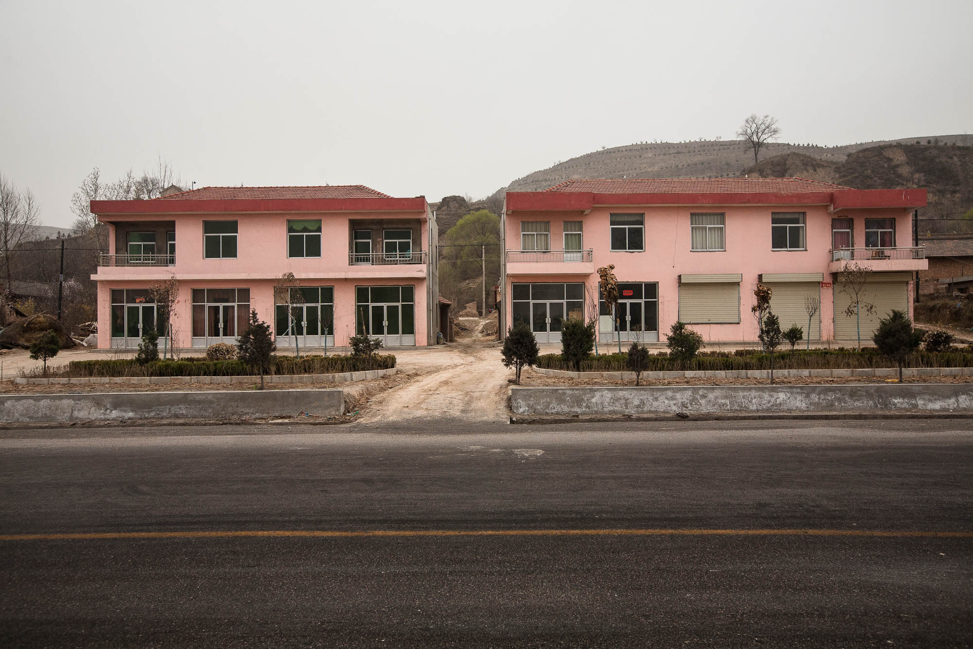pink houses
