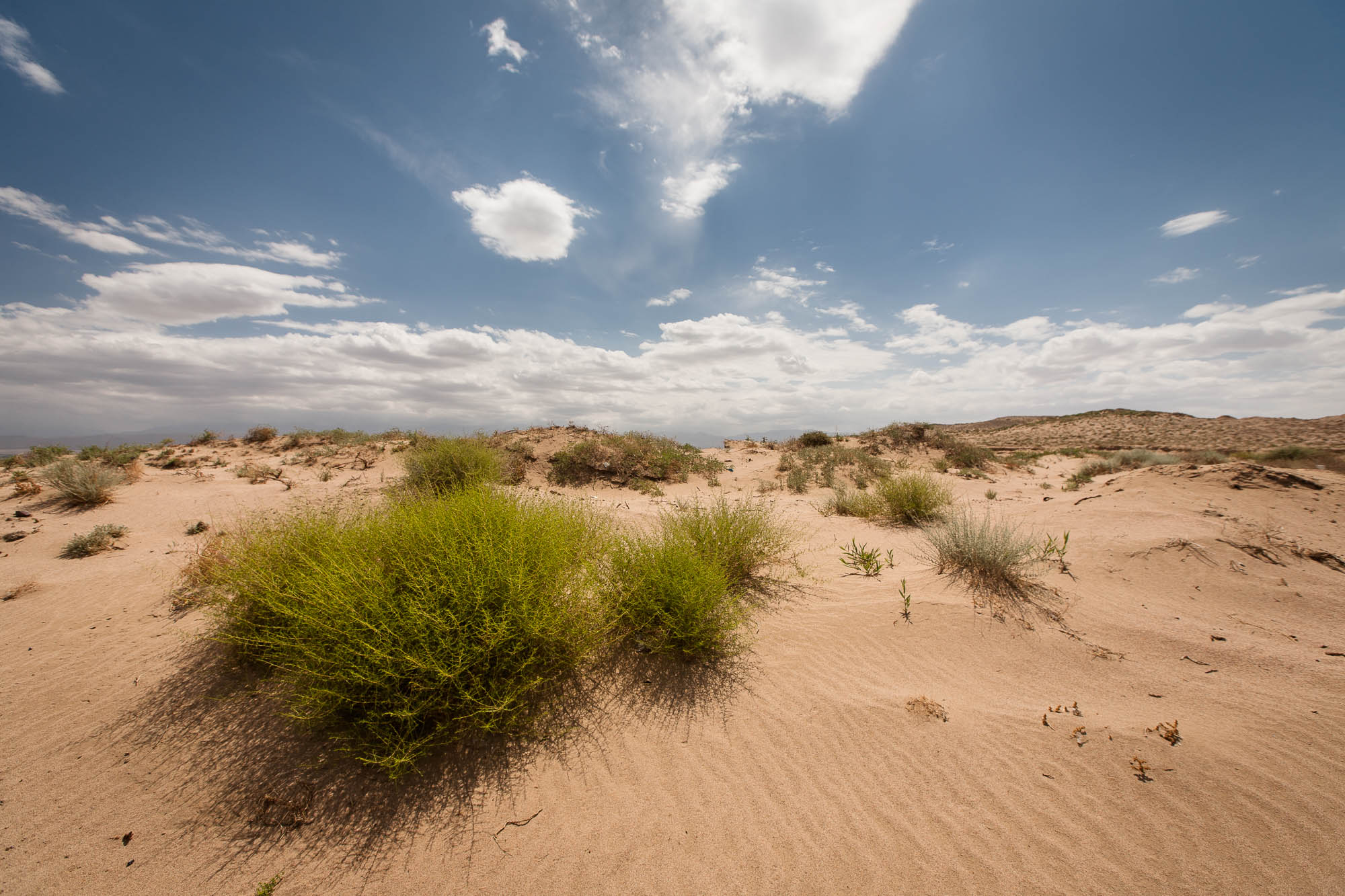 small patch of sandy desert