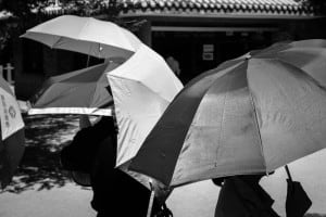umbrellas in 2006