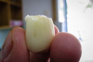garlic to eat