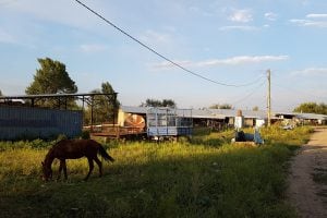 farm in Issyk