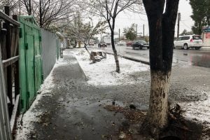 snow in Taraz