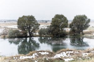 pond in the snow