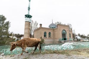 mosque with cow