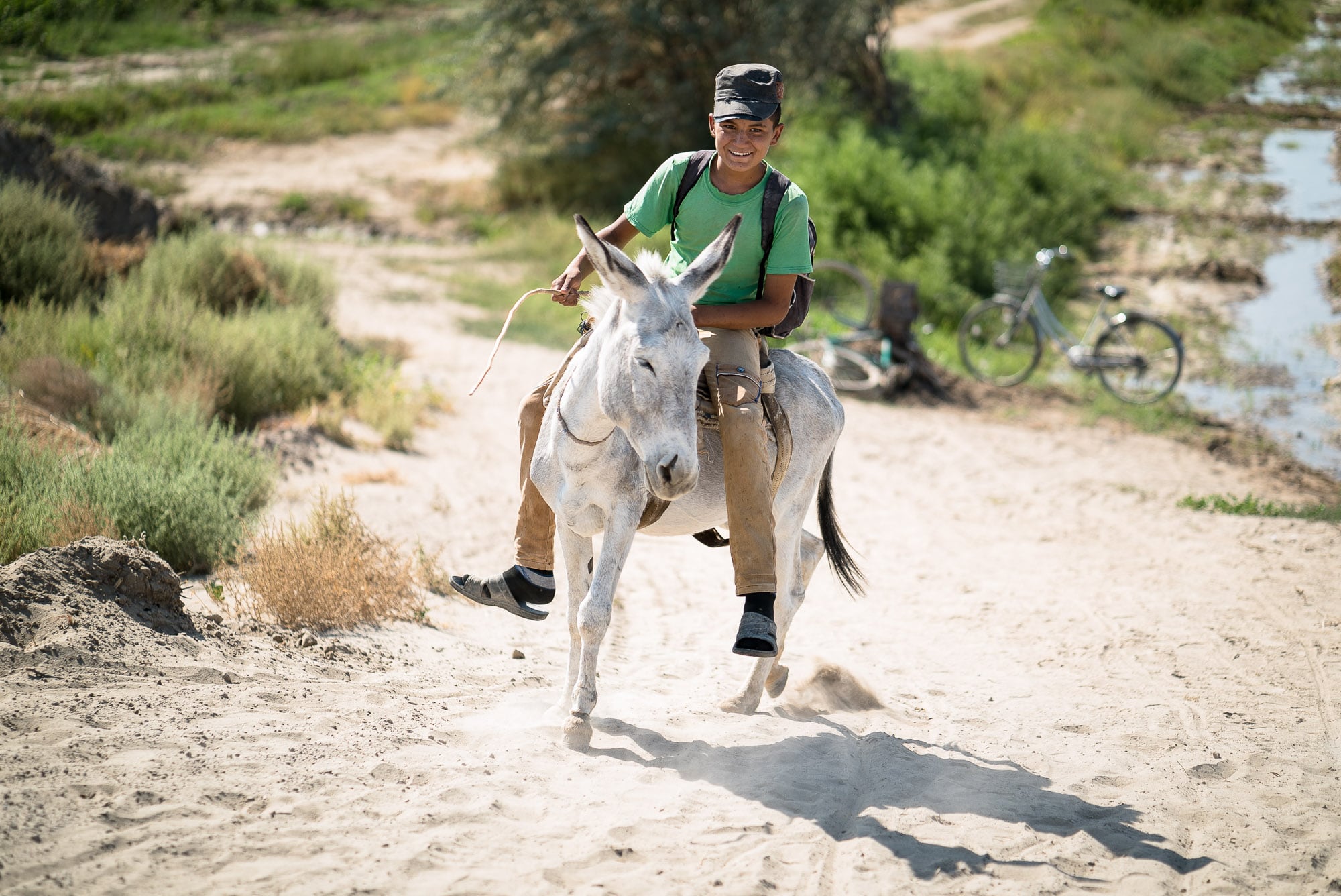 Turkmen boy on donkey