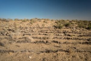 attempts to stop desertification