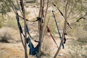 pieces of cloth hung in a tree