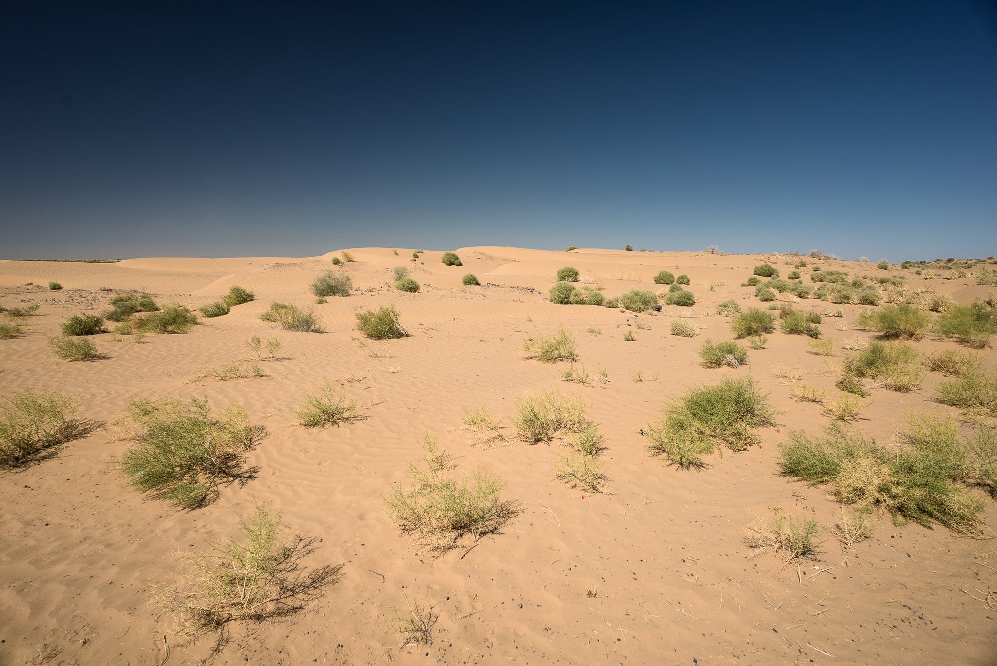 desert as it should be