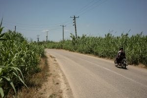 country road near Juybar
