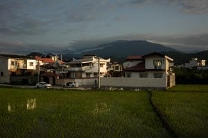 houses near rice fields