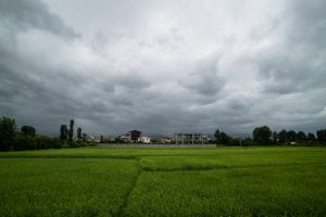 clouds over rice paddy