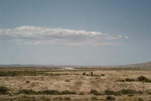 semi desert
