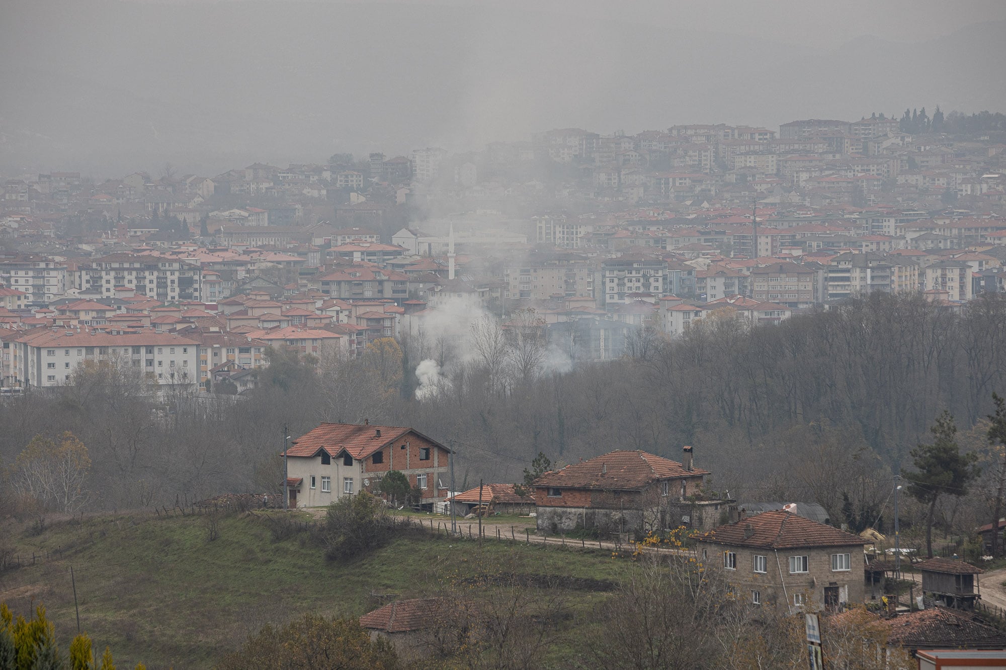 Bartin from a distance