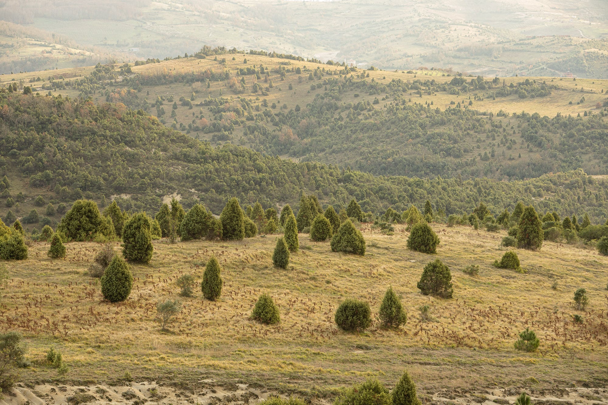 Mediterranean-looking landscape near Agva