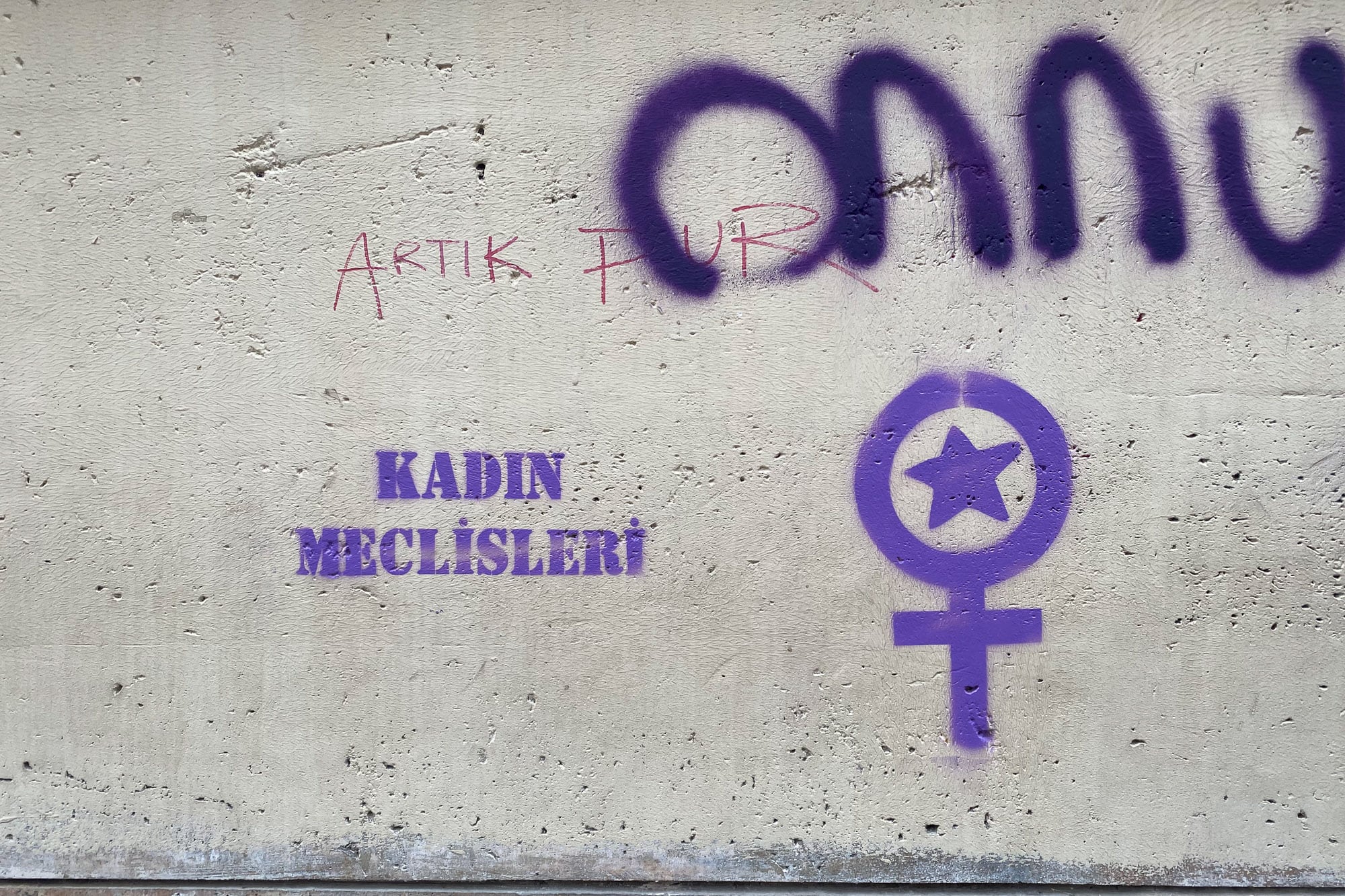 women's council graffito