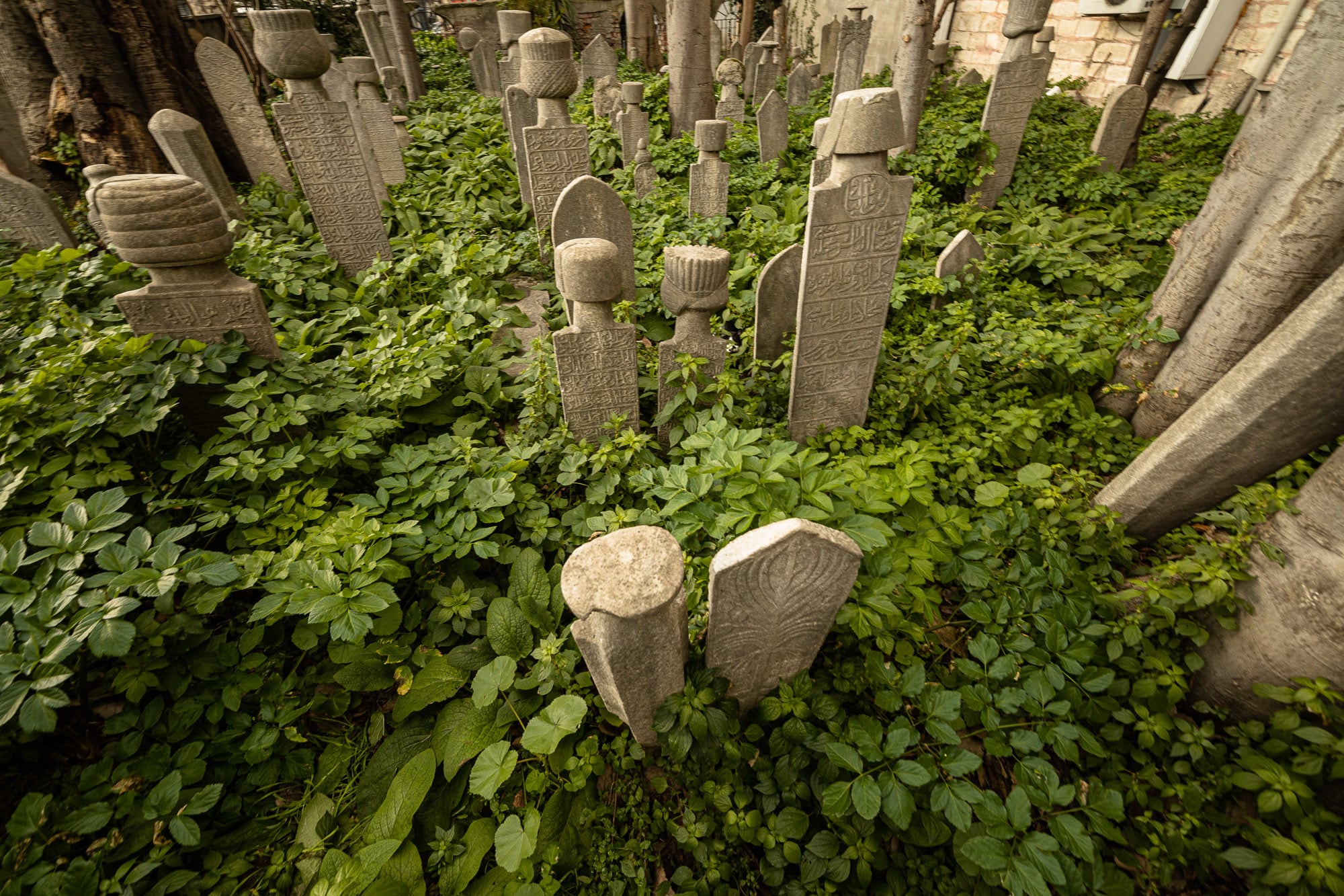 Gravestones in Fatih