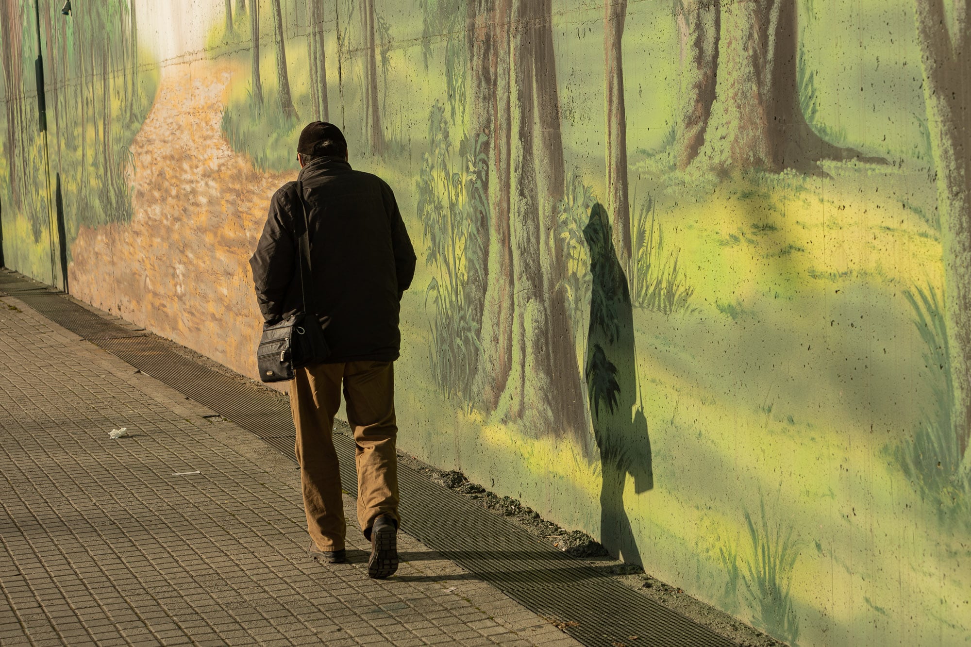 man with shadow on green wall