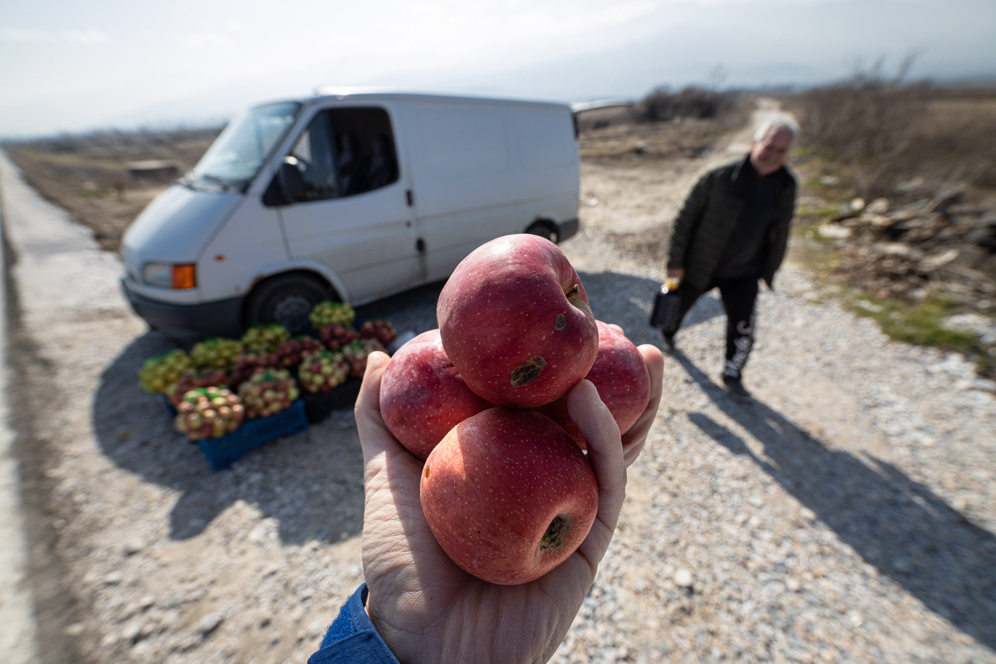 apples near Plovdiv