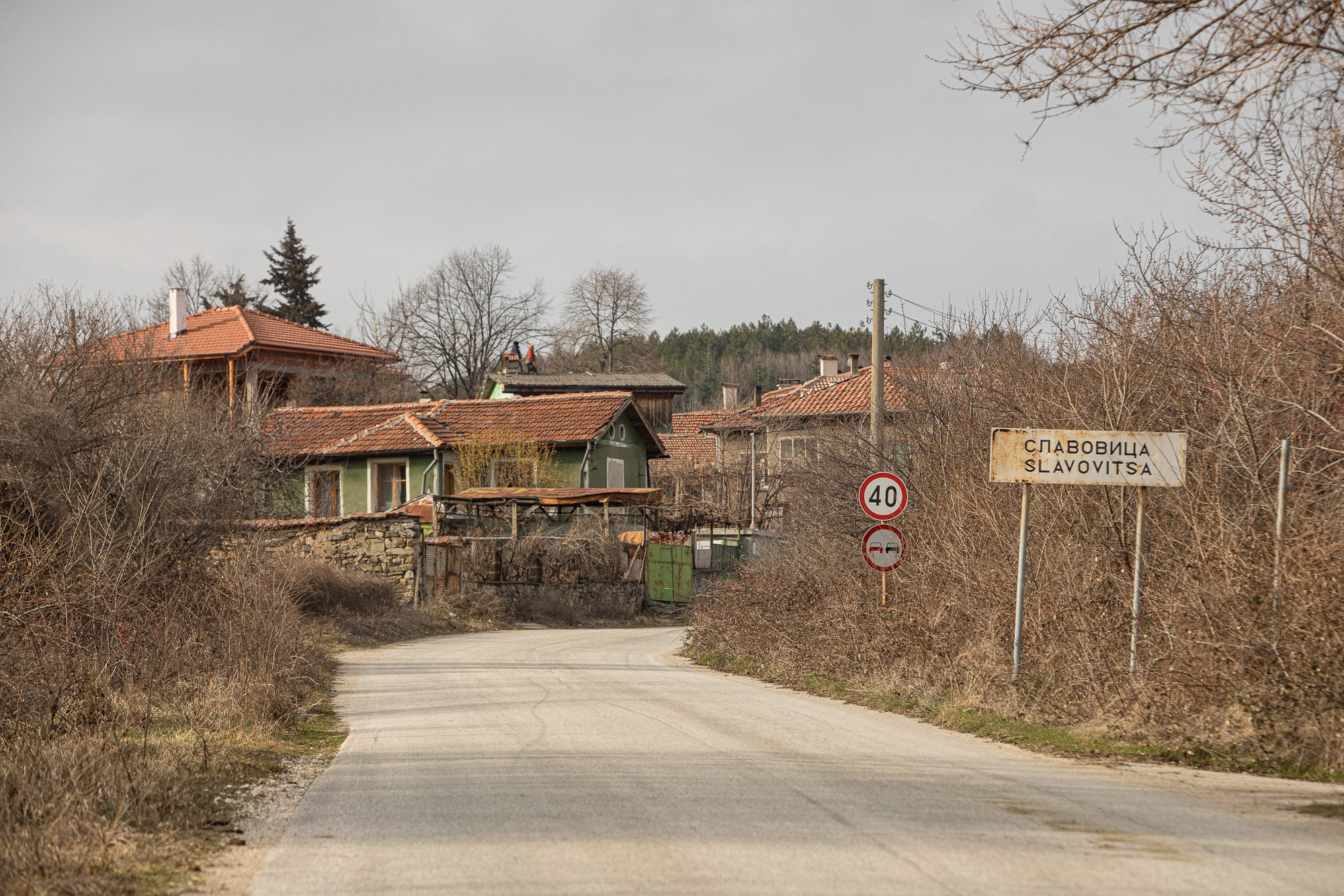 The village of Slavovitsa
