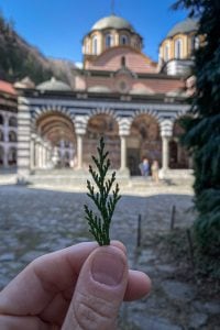 I picked a leaf in the Rila Monastery