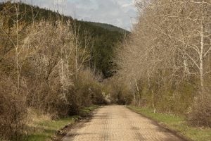 the old road from Dragoman to Dimitrovgrad