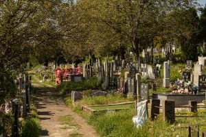graveyard near Malcha