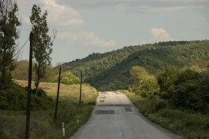 the road to walk from Bor to Rgotina