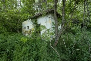 abandoned house near Negotin