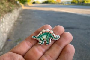 found a stegosaurus