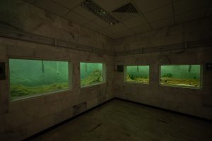 fish tanks in the Iron Gates Museum