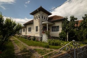 village house near Mușetești
