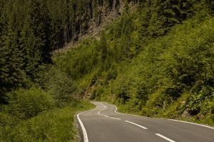 the road to walk from Oașa Lake to Tau Bistra