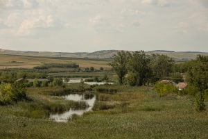 rural landscape in Romania