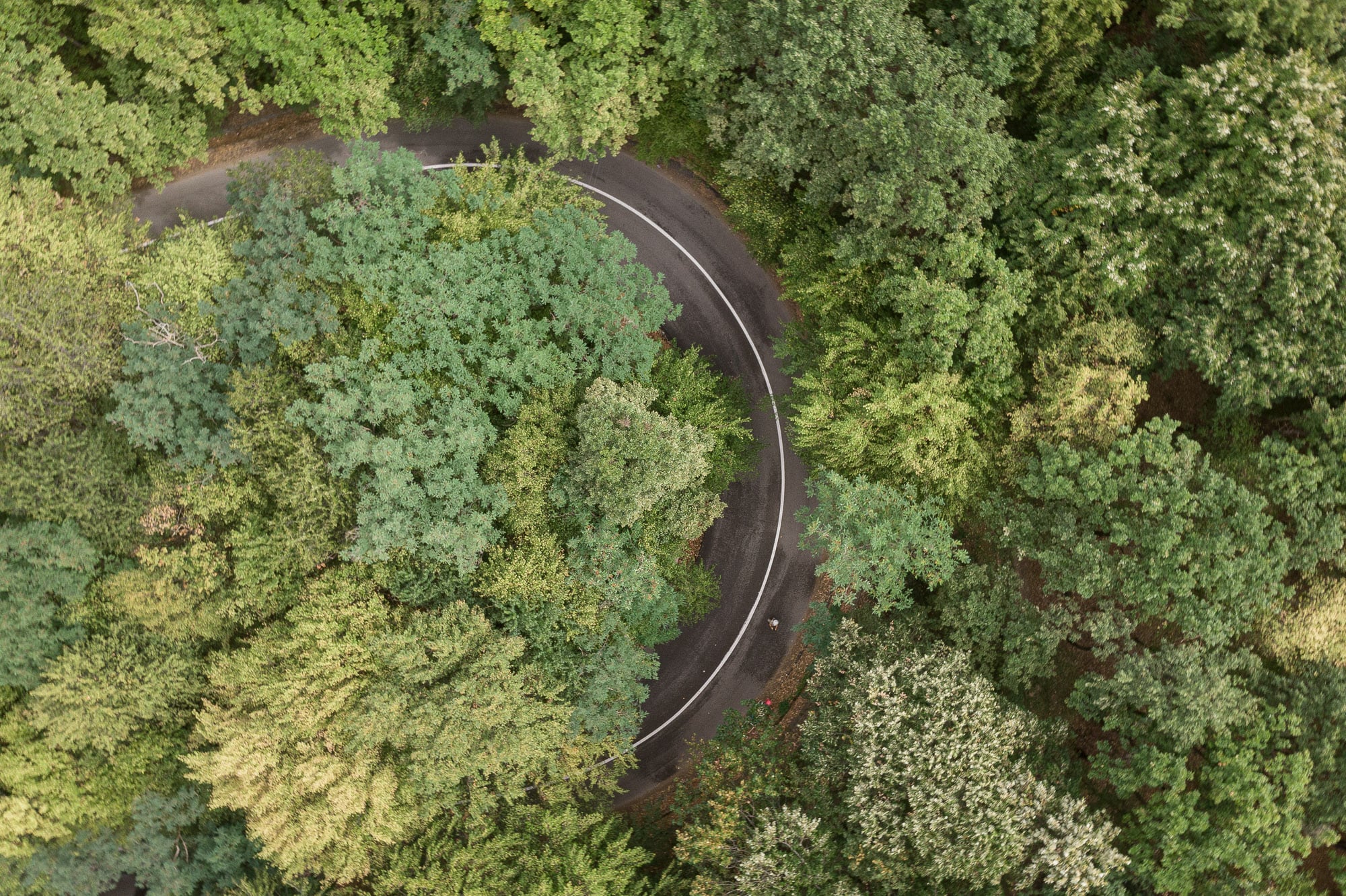 drone view of a hairpin turn