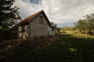 farm in Spinuș
