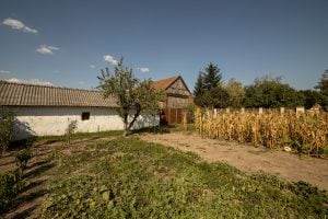 rural house in Borș