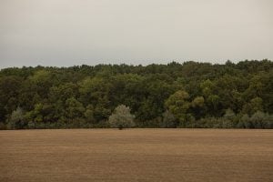 fields near Kisújszállás
