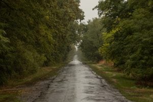 the rainy road