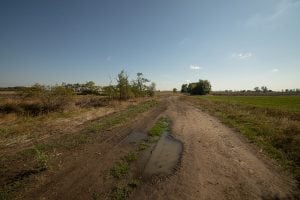 mud path near Törökszentmiklós