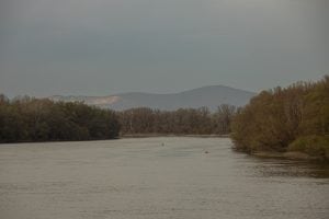 the Danube