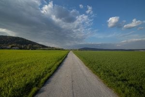 a quiet path through the fields