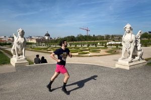 runner at Belvedere Palace