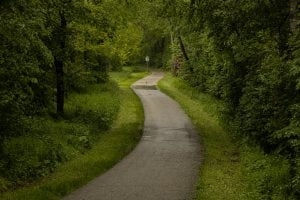 the bike path through the rainy woods