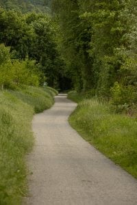 bike path through a nature preserve