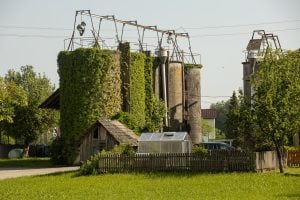 overgrown silos