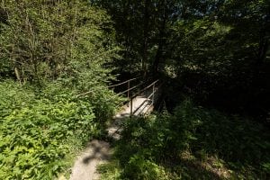 bridge on the path through the forest