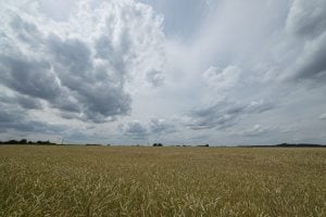 fields near Dirnberg