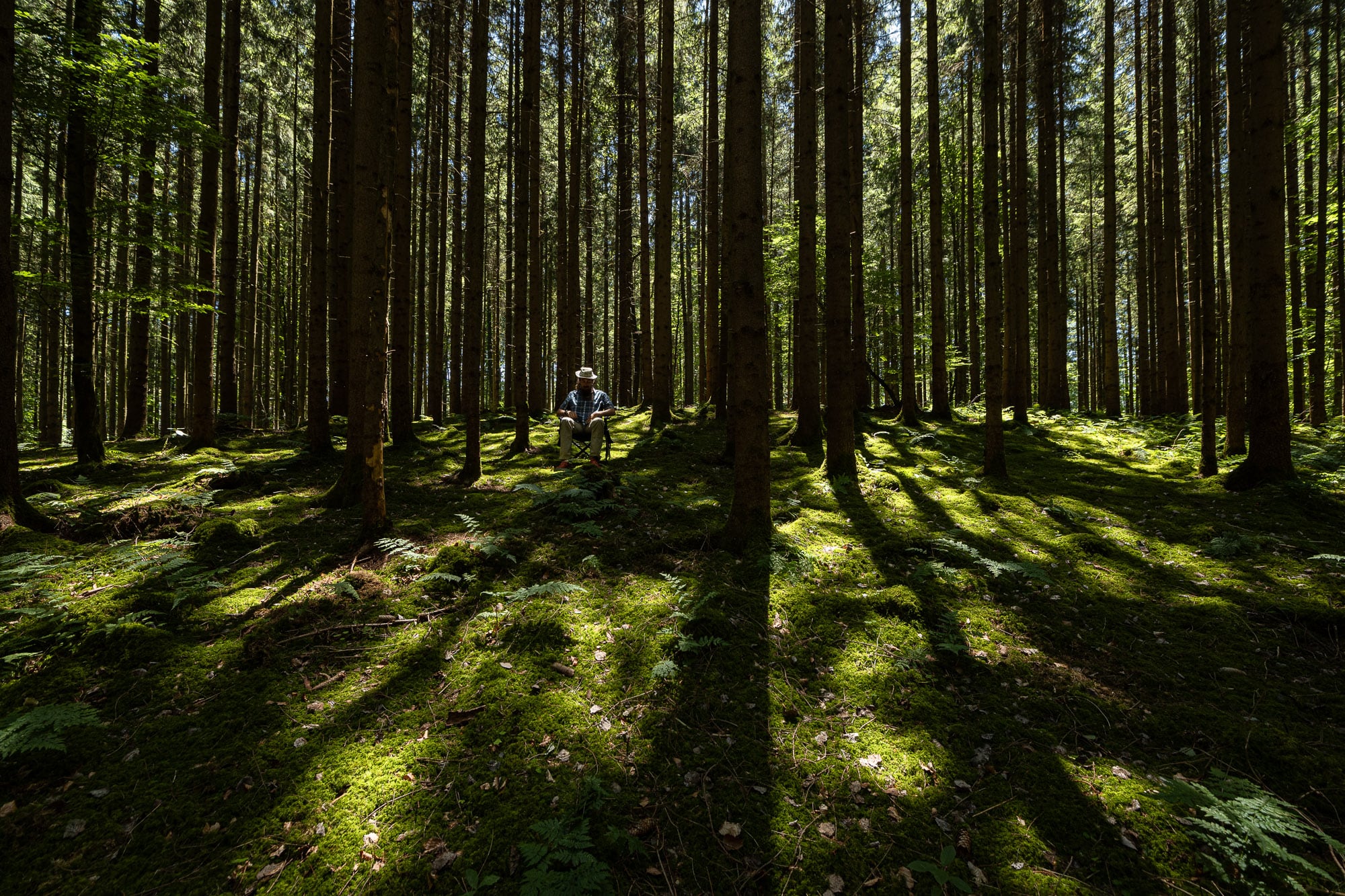 a forest near Taglaching