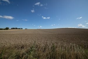 the fields near Bergkirchen