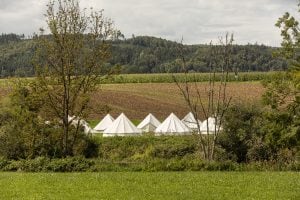 youth camps in the Danube valley